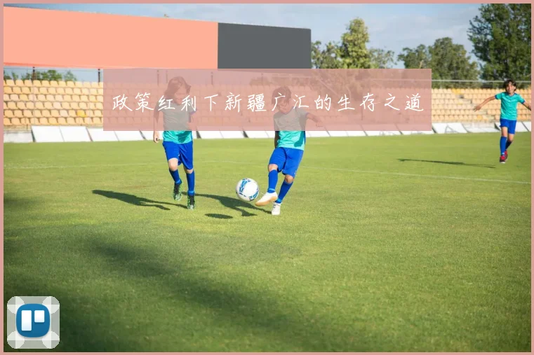 政策红利下新疆广汇的生存之道