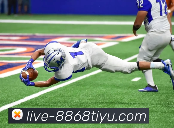 8868体育服务体系